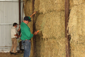 hay inspection