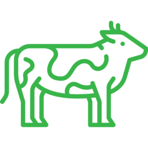 icon-cow-grn