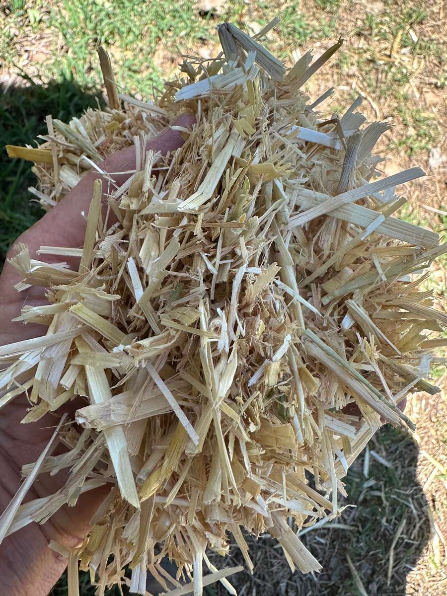 Batch 4990788000203580633 Image