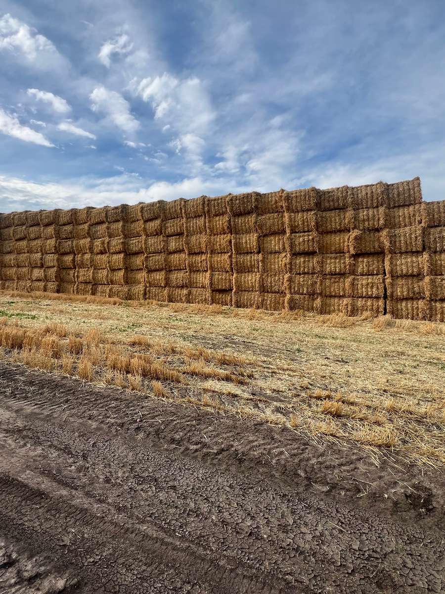 Batch 4990788000202925001 Image