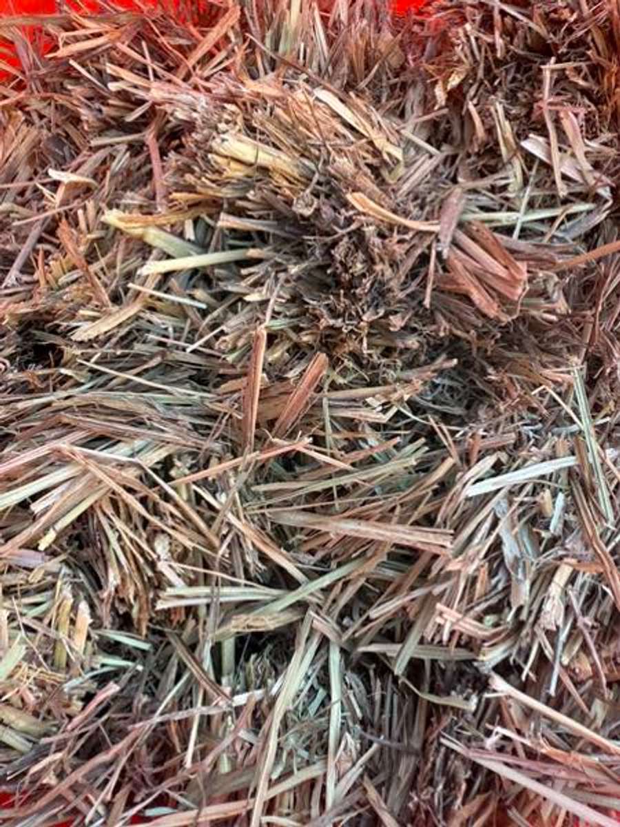 Batch 4990788000175711001 Image