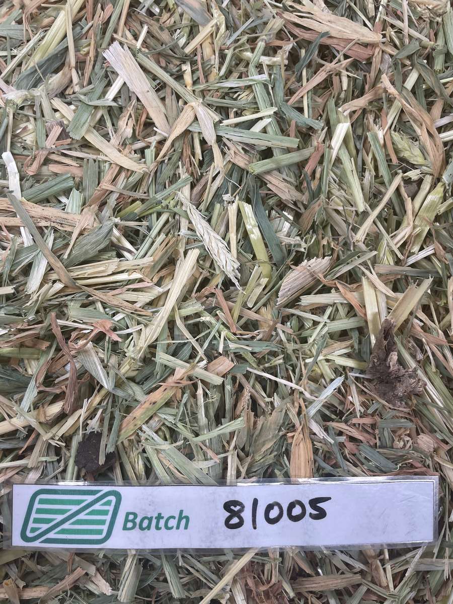 Batch 4990788000197191317 Image