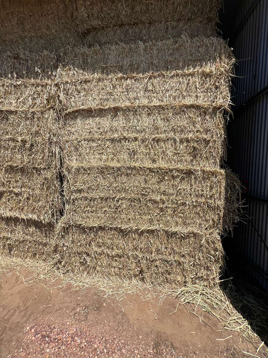 Batch 4990788000200913141 Image