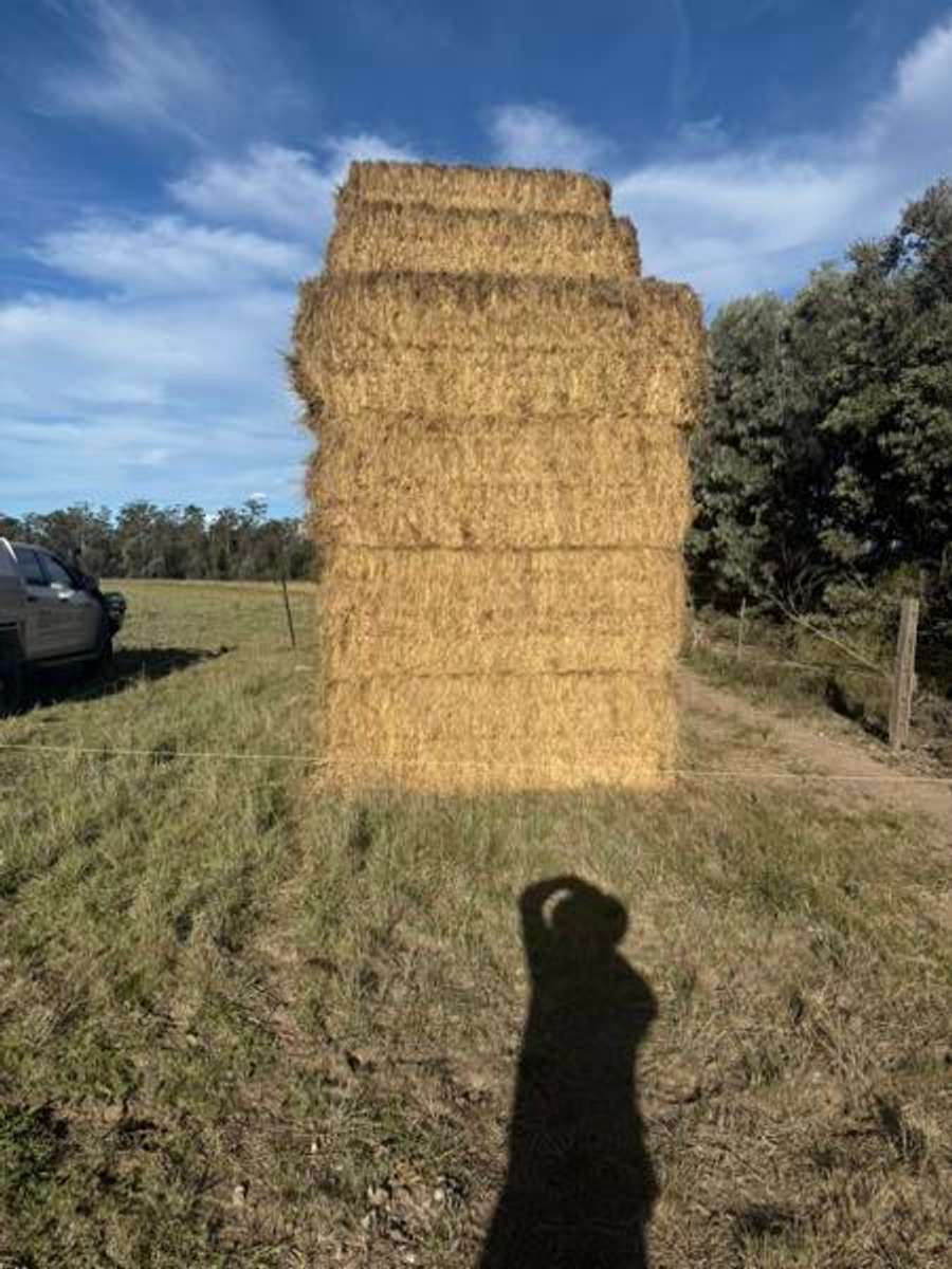 Batch 4990788000175658015 Image