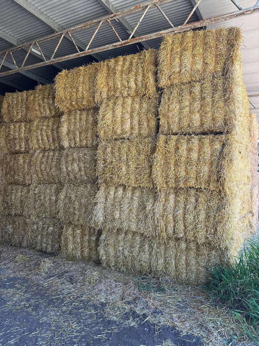 Batch 4990788000203584587 Image