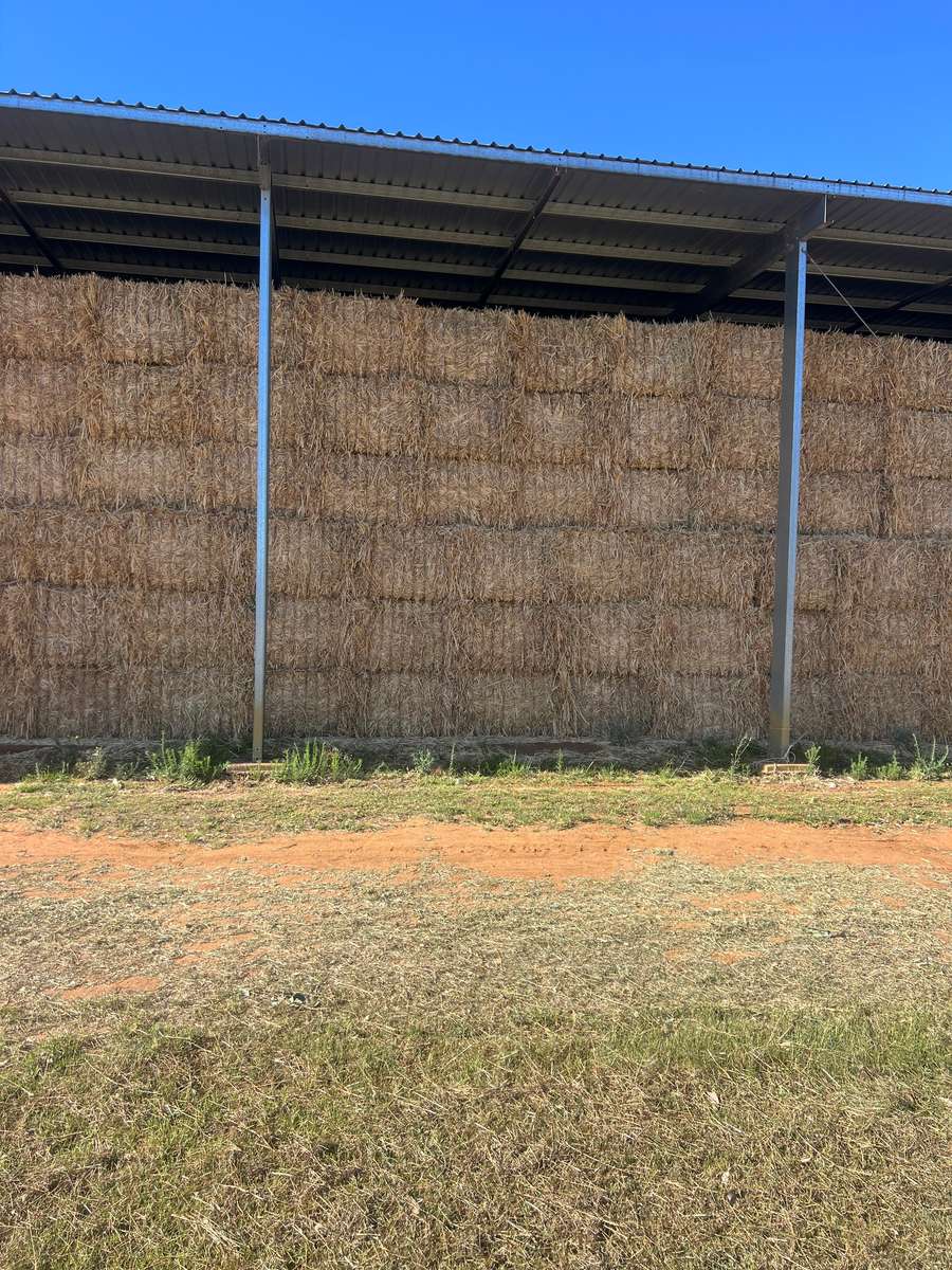 Batch 4990788000203203047 Image