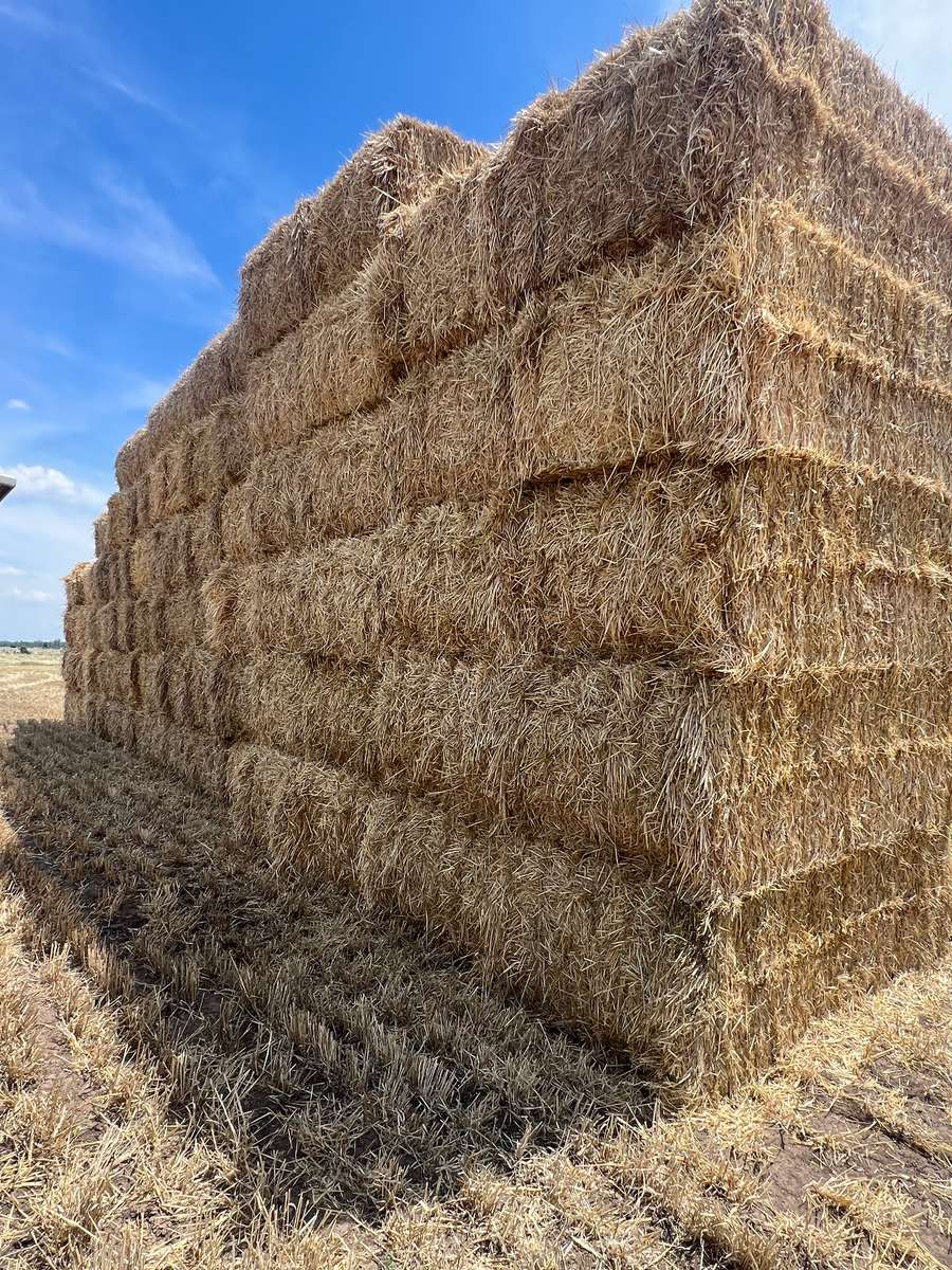 Batch 4990788000202765205 Image