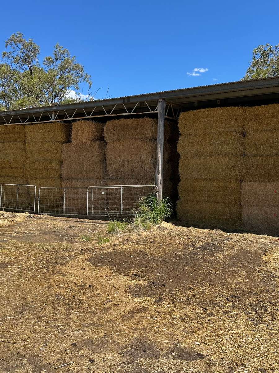 Batch 4990788000203584587 Image