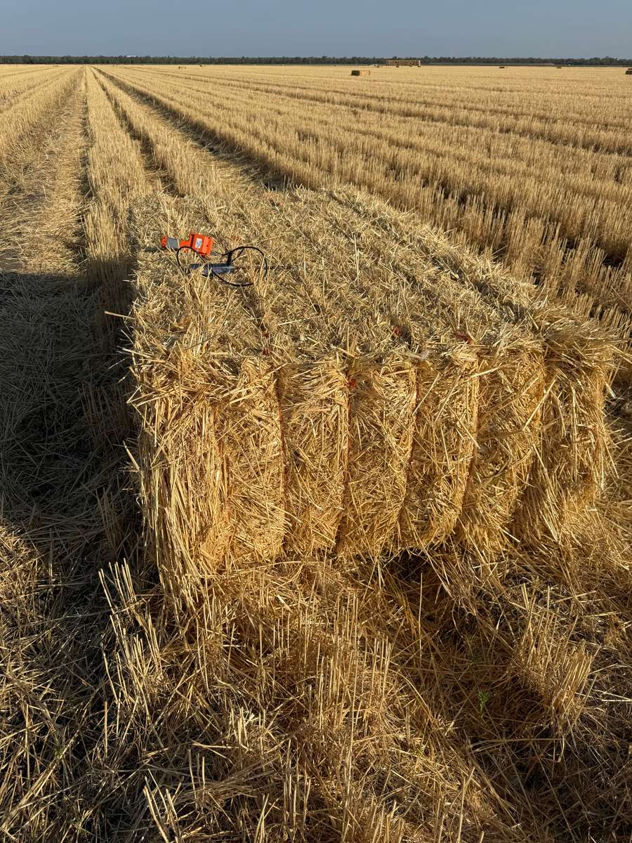 Batch 4990788000200099149 Image