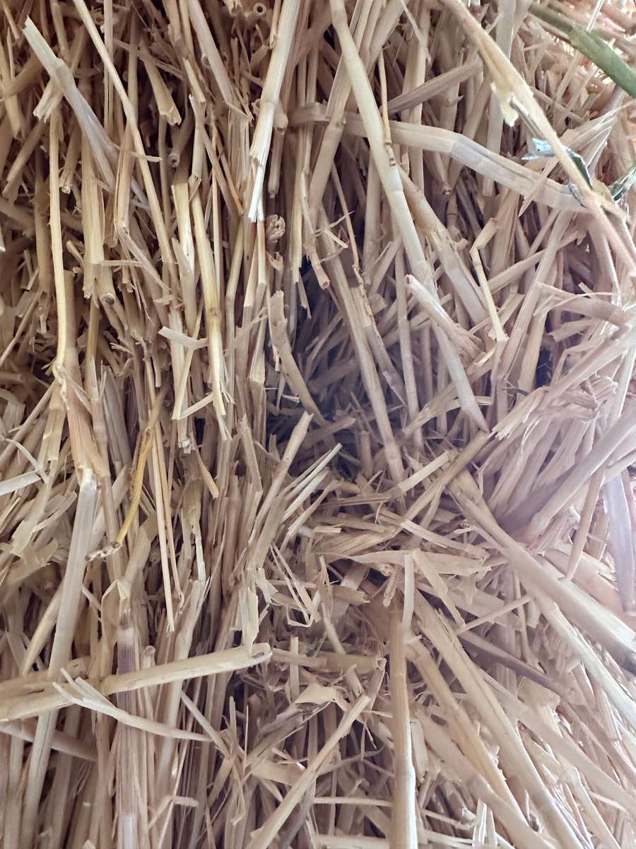 Batch 4990788000203580633 Image