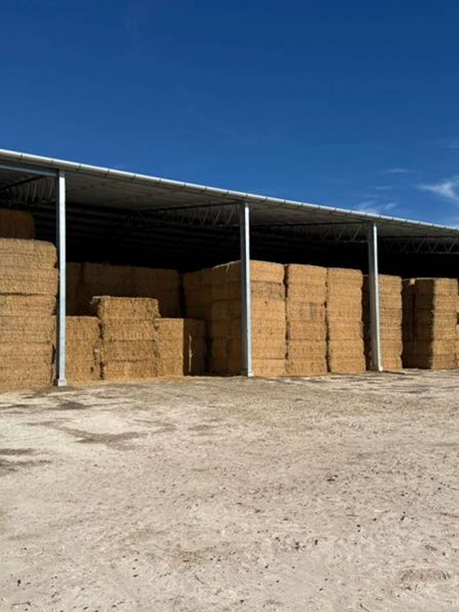 Batch 4990788000183551109 Image