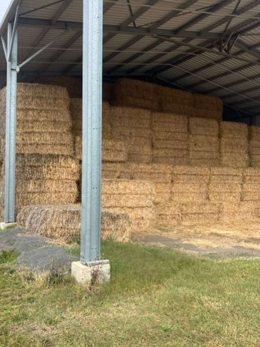 Batch 4990788000181099415 Image