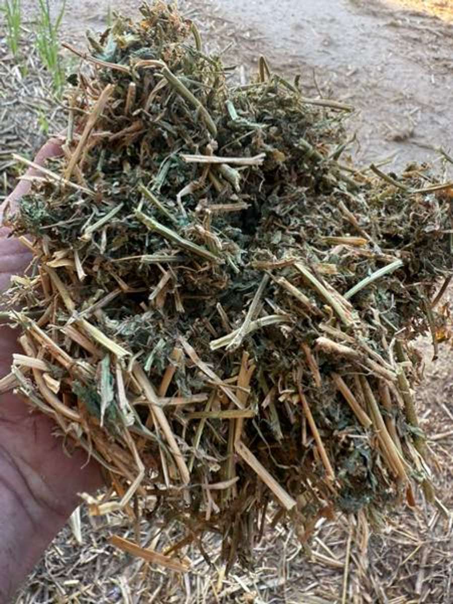 Batch 4990788000156955011 Image