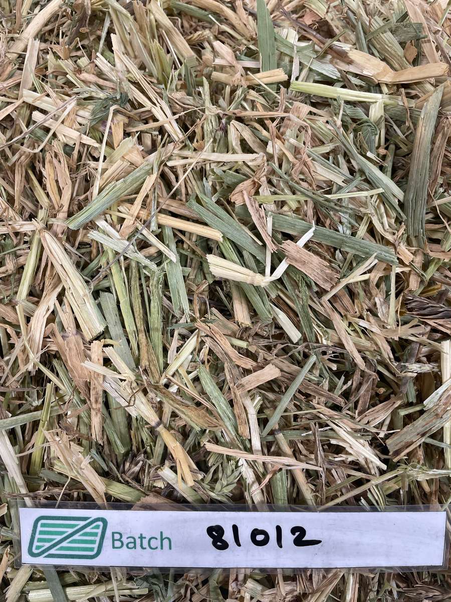 Batch 4990788000197212476 Image