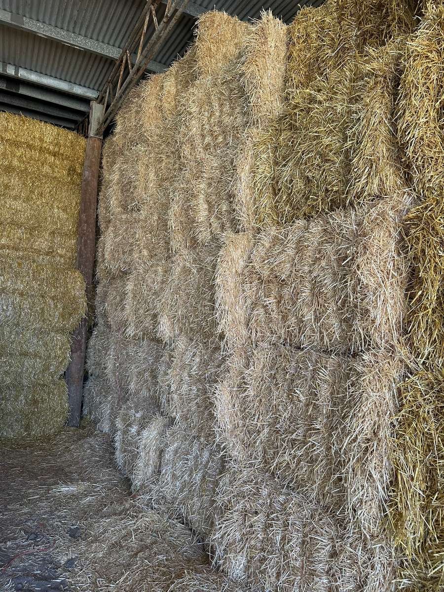 Batch 4990788000203580633 Image