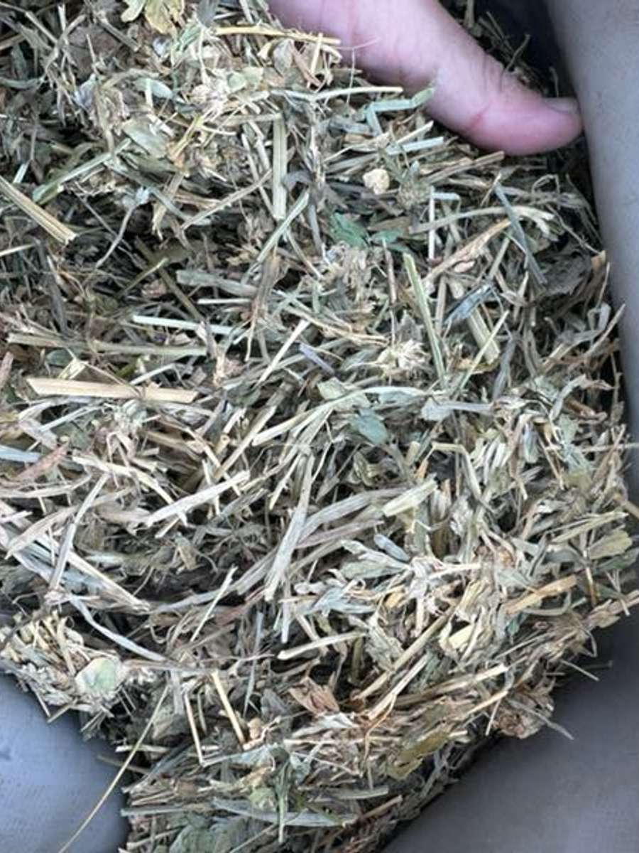 Batch 4990788000181082603 Image