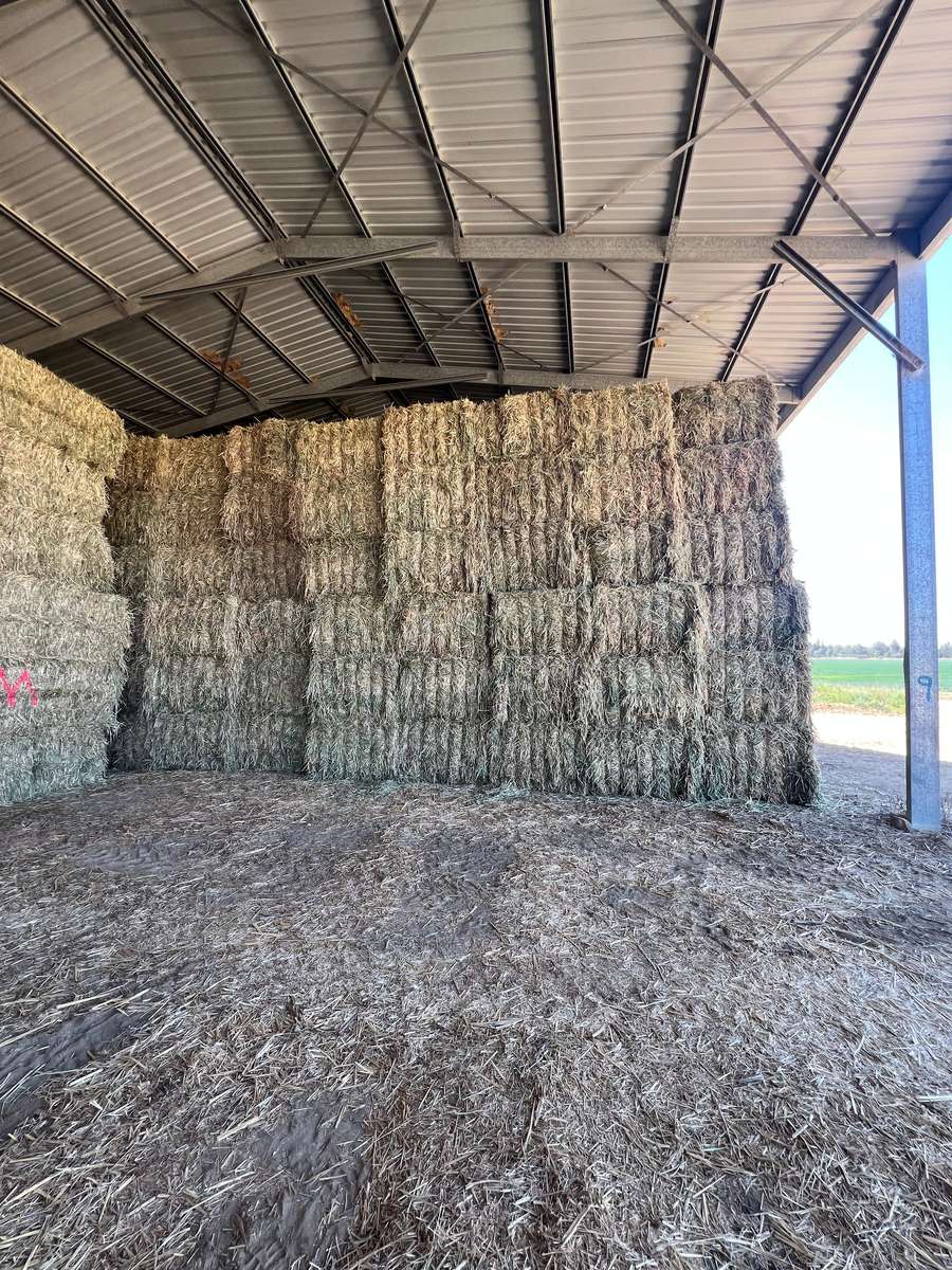 Batch 4990788000197191317 Image