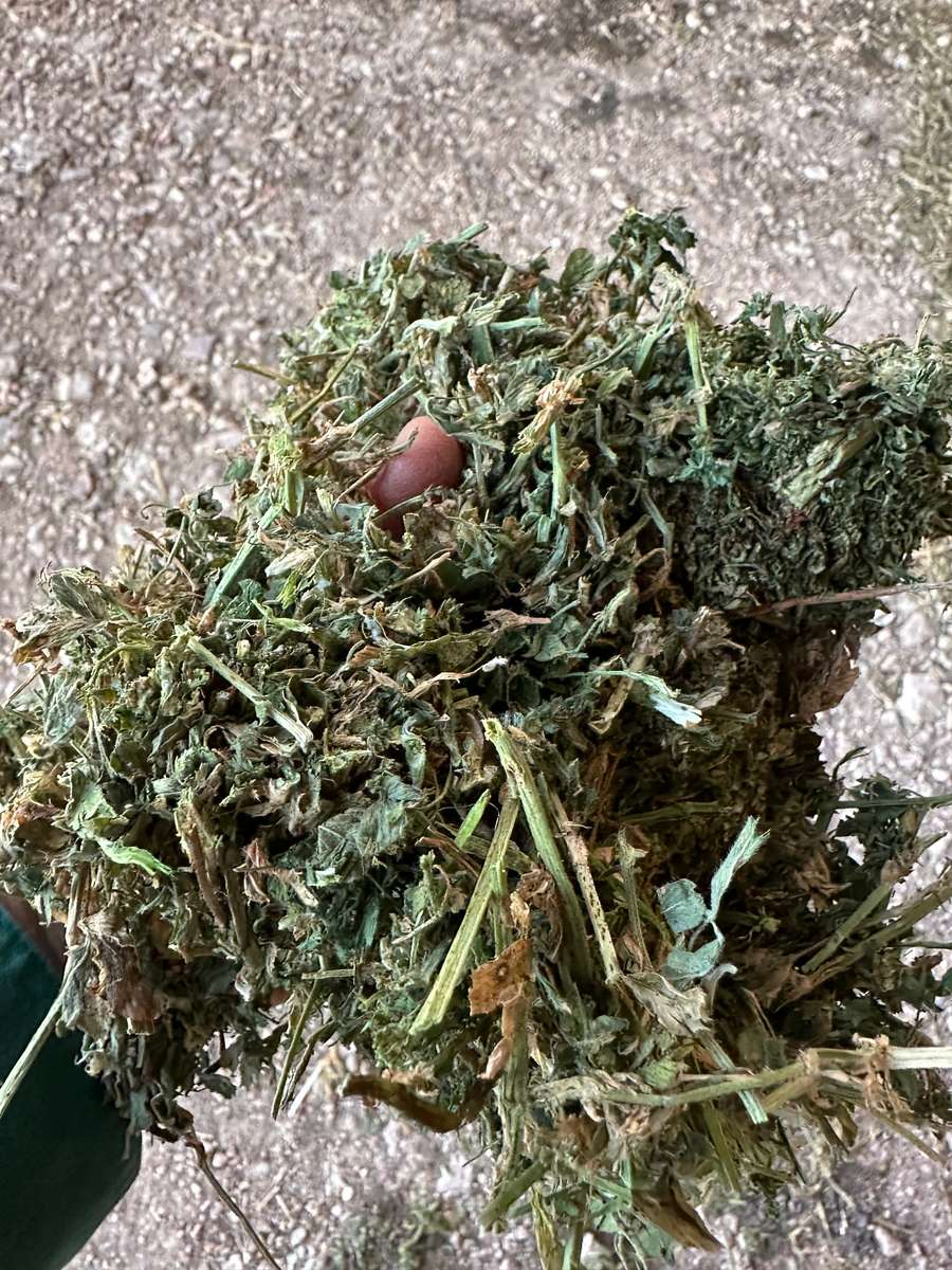 Batch 4990788000196632249 Image