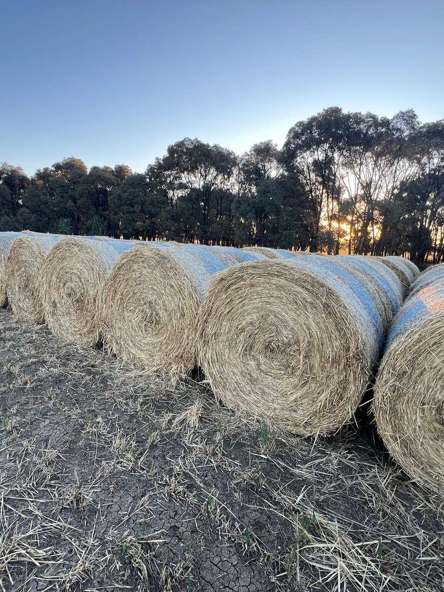 Batch 4990788000199024225 Image