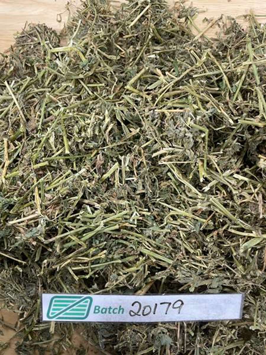 Batch 4990788000183551109 Image