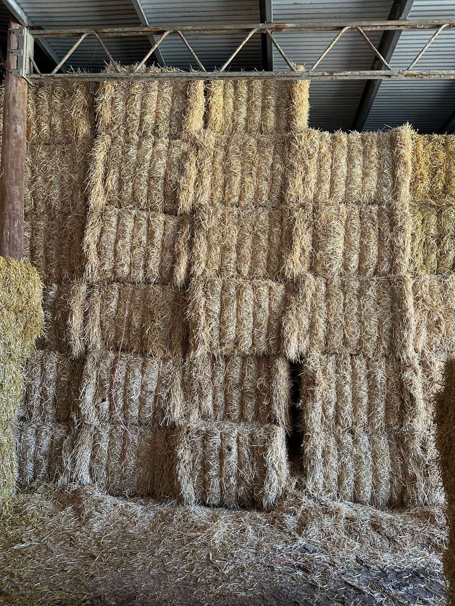 Batch 4990788000203580633 Image