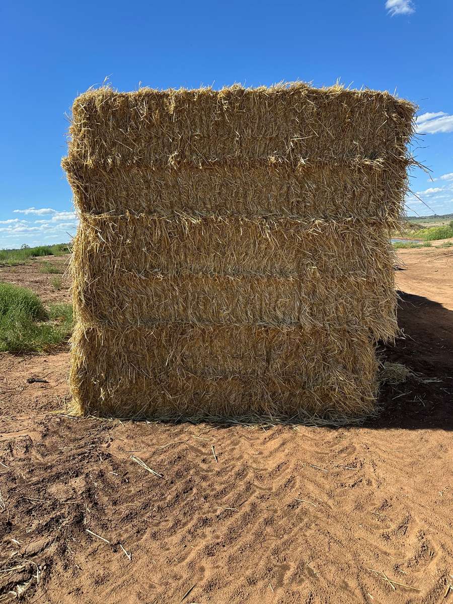 Batch 4990788000203589666 Image