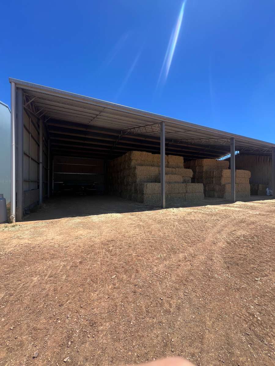 Batch 4990788000203805121 Image