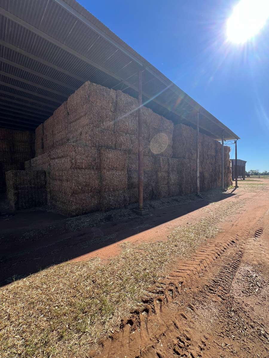 Batch 4990788000203194046 Image