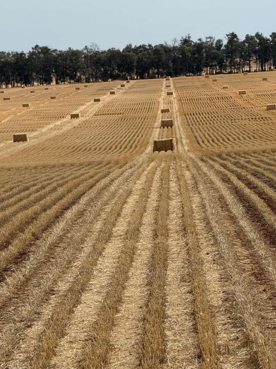 Batch 4990788000201761202 Image