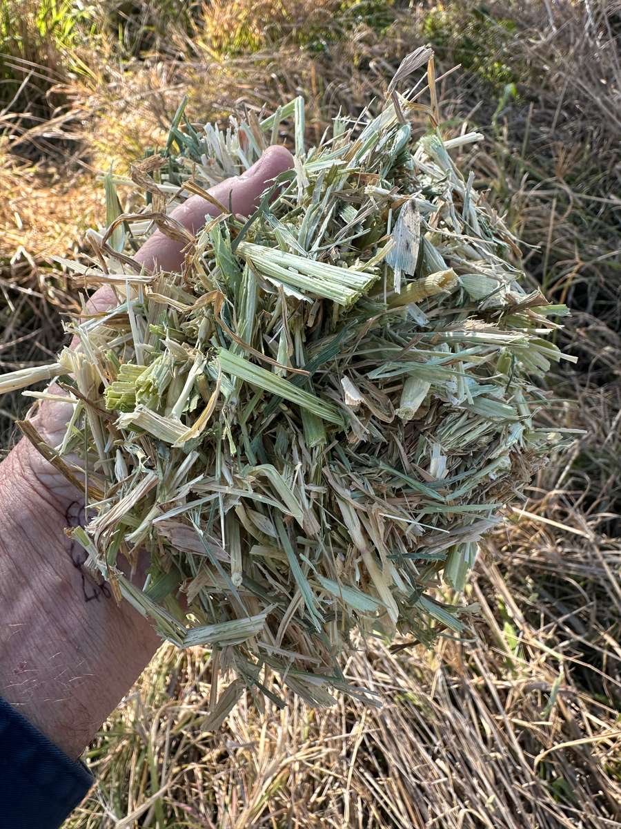 Batch 4990788000196881009 Image