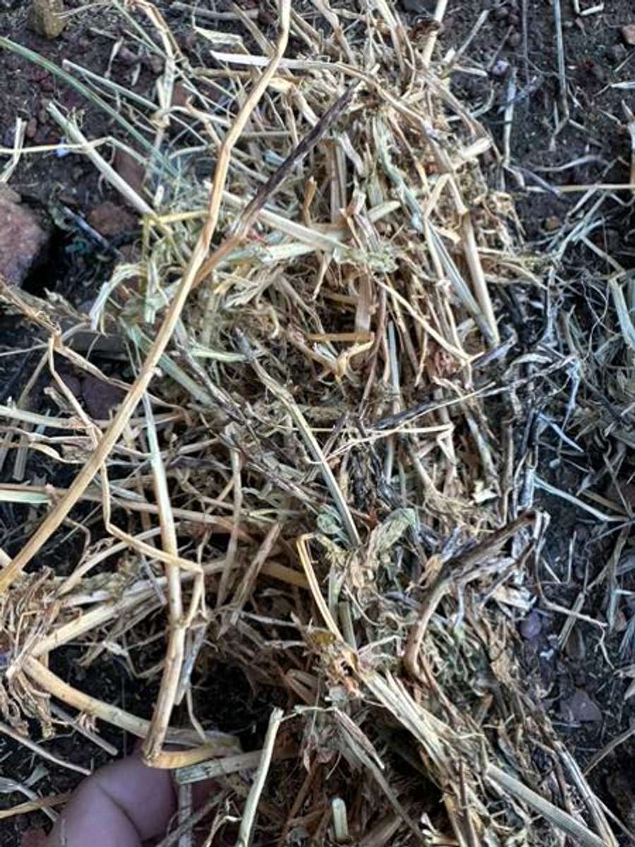 Batch 4990788000183741006 Image