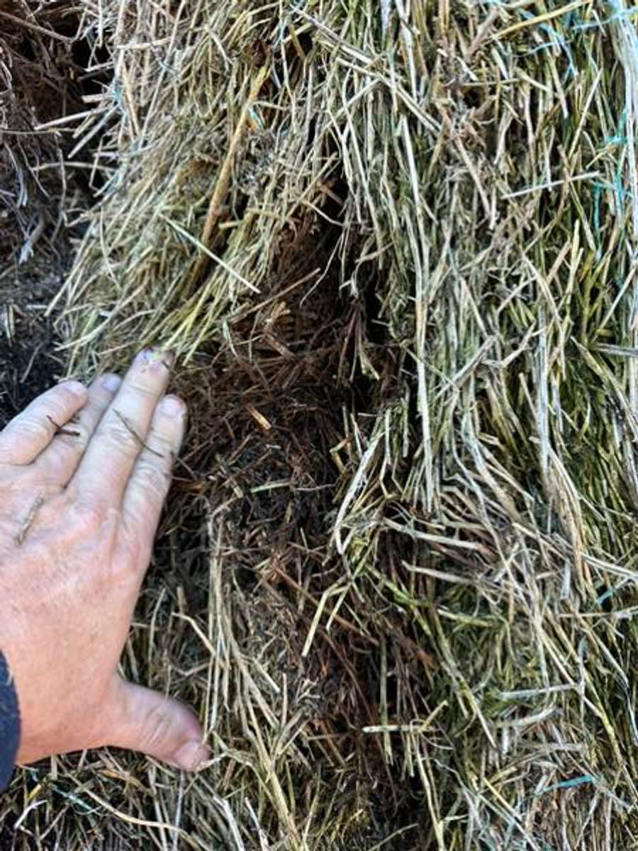 Batch 4990788000183741006 Image