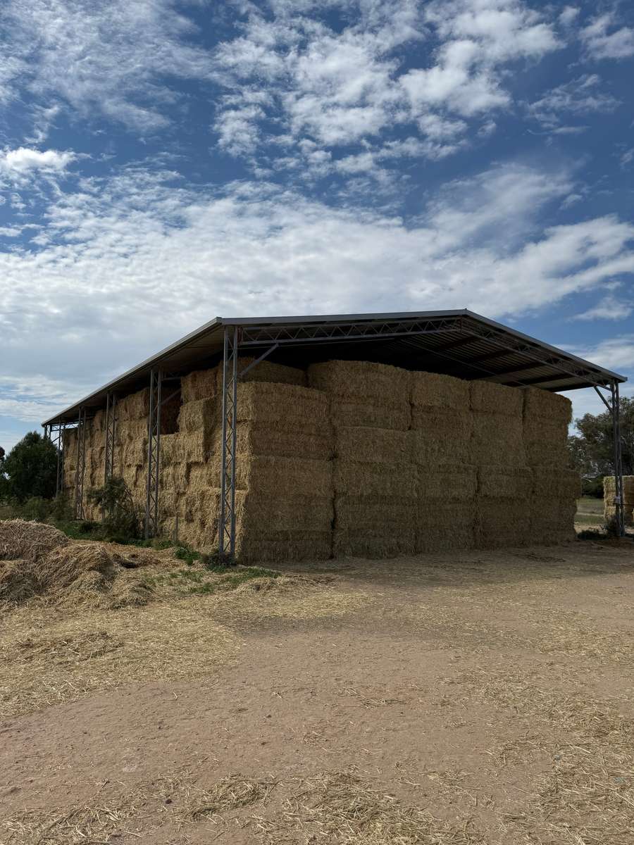 Batch 4990788000197212476 Image