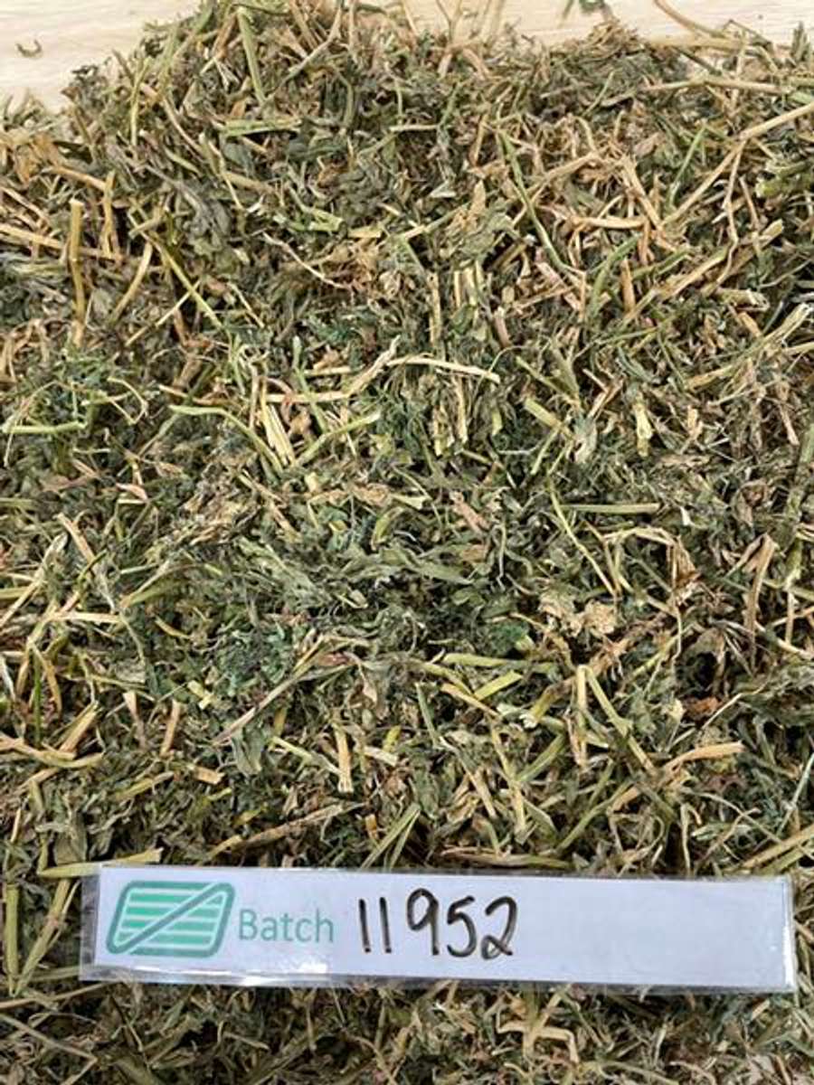 Batch 4990788000156955011 Image