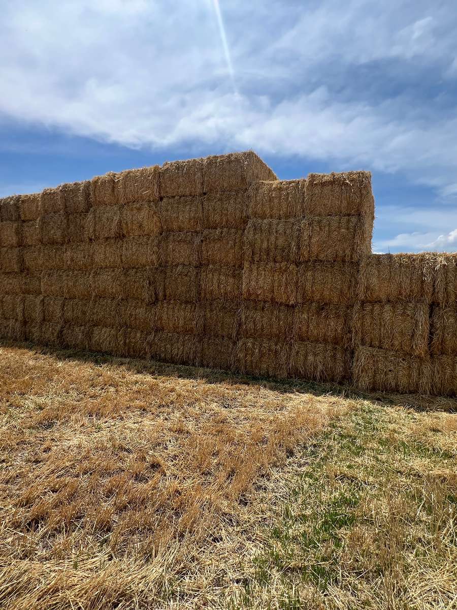 Batch 4990788000202765205 Image