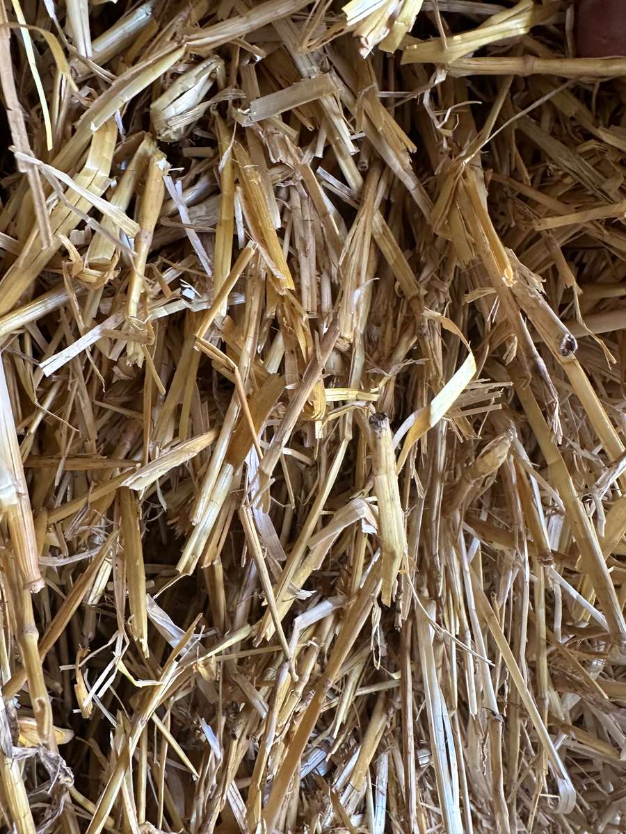 Batch 4990788000203584587 Image