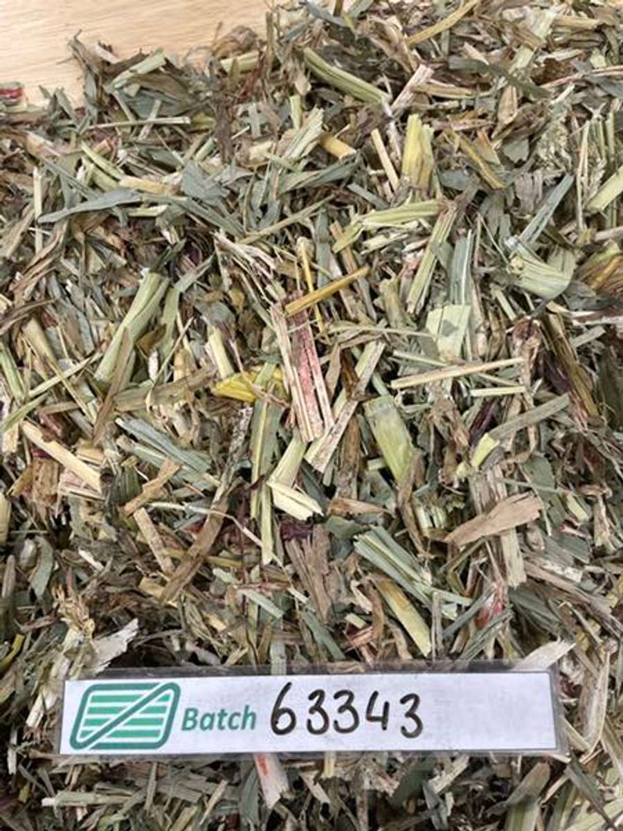 Batch 4990788000164356016 Image