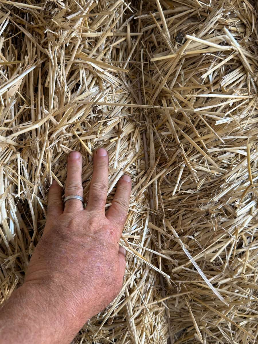 Batch 4990788000205839345 Image