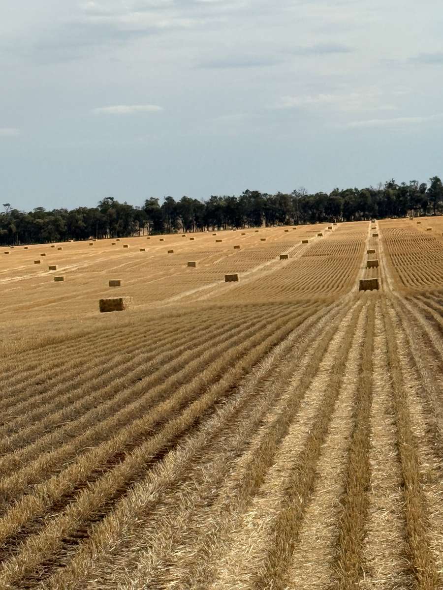 Batch 4990788000201761202 Image