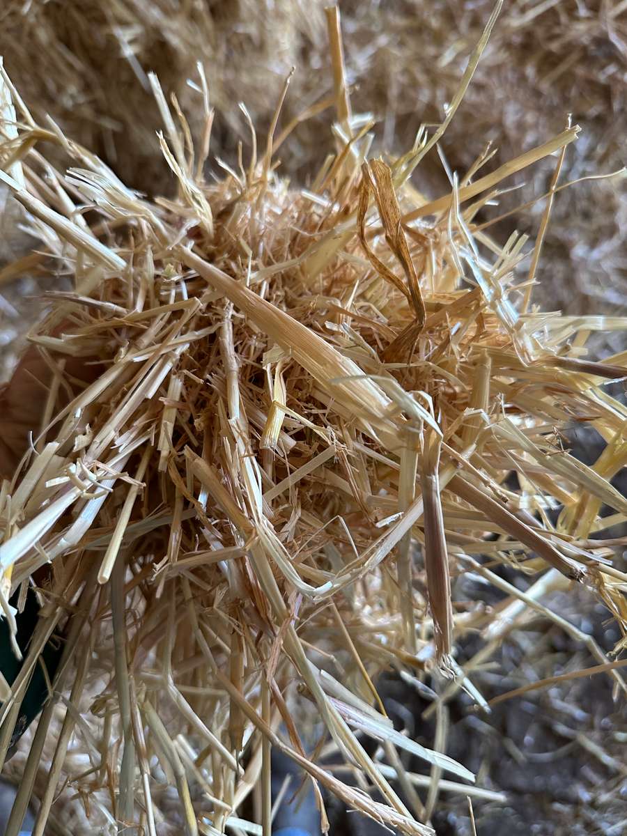 Batch 4990788000203580633 Image