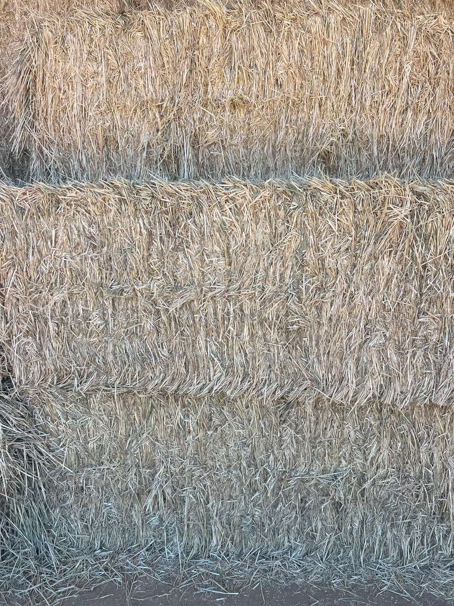 Batch 4990788000203805121 Image