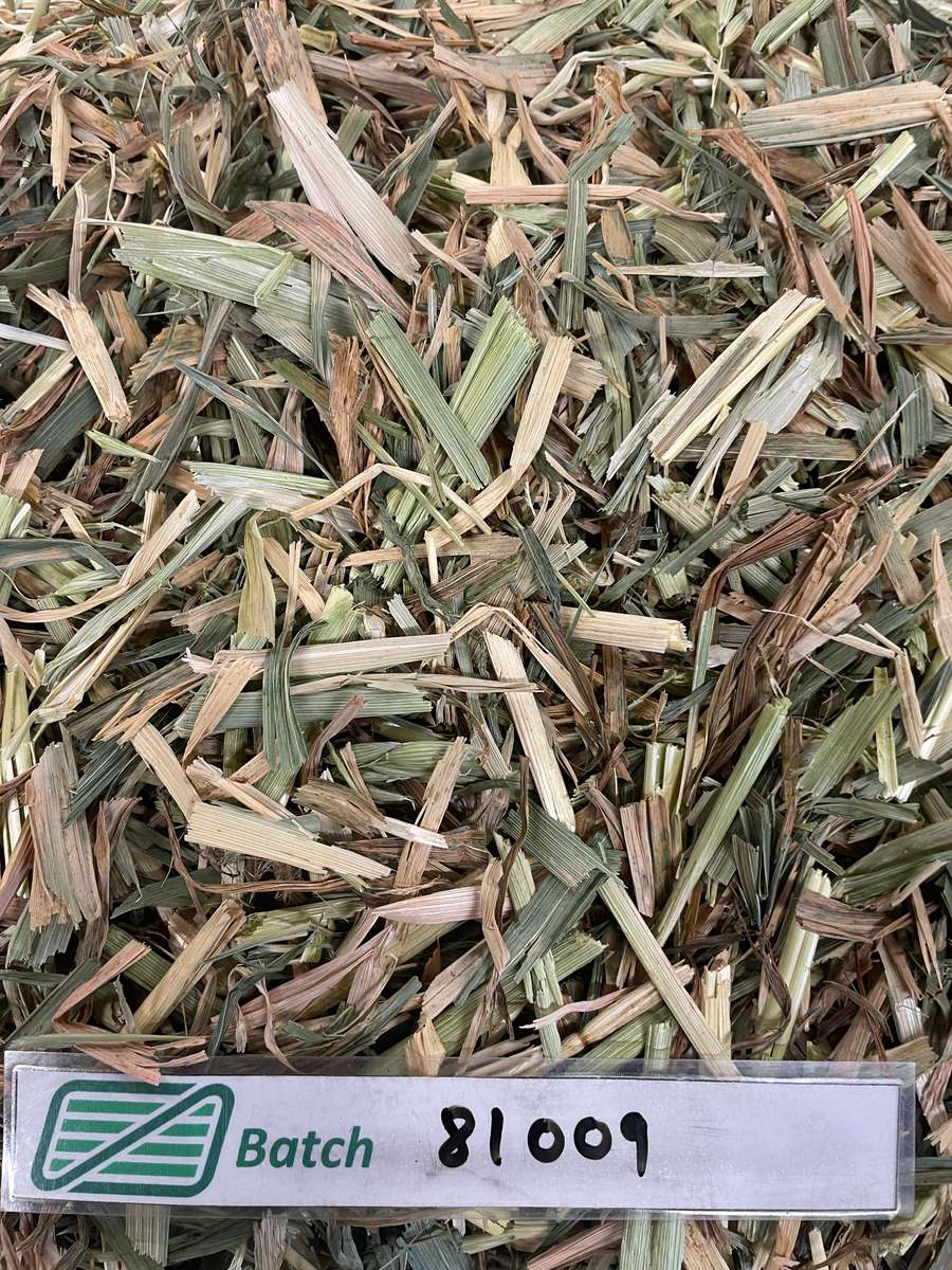 Batch 4990788000197198402 Image