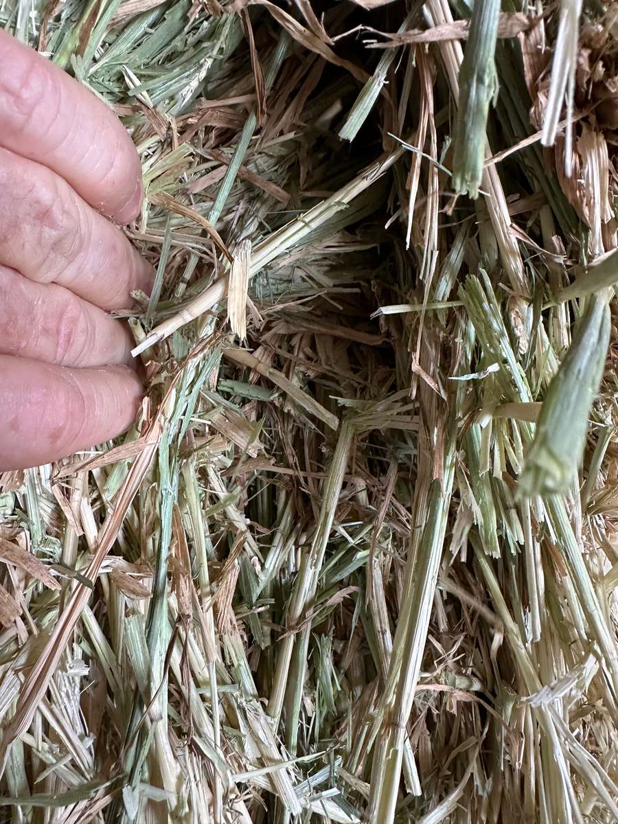 Batch 4990788000196881009 Image