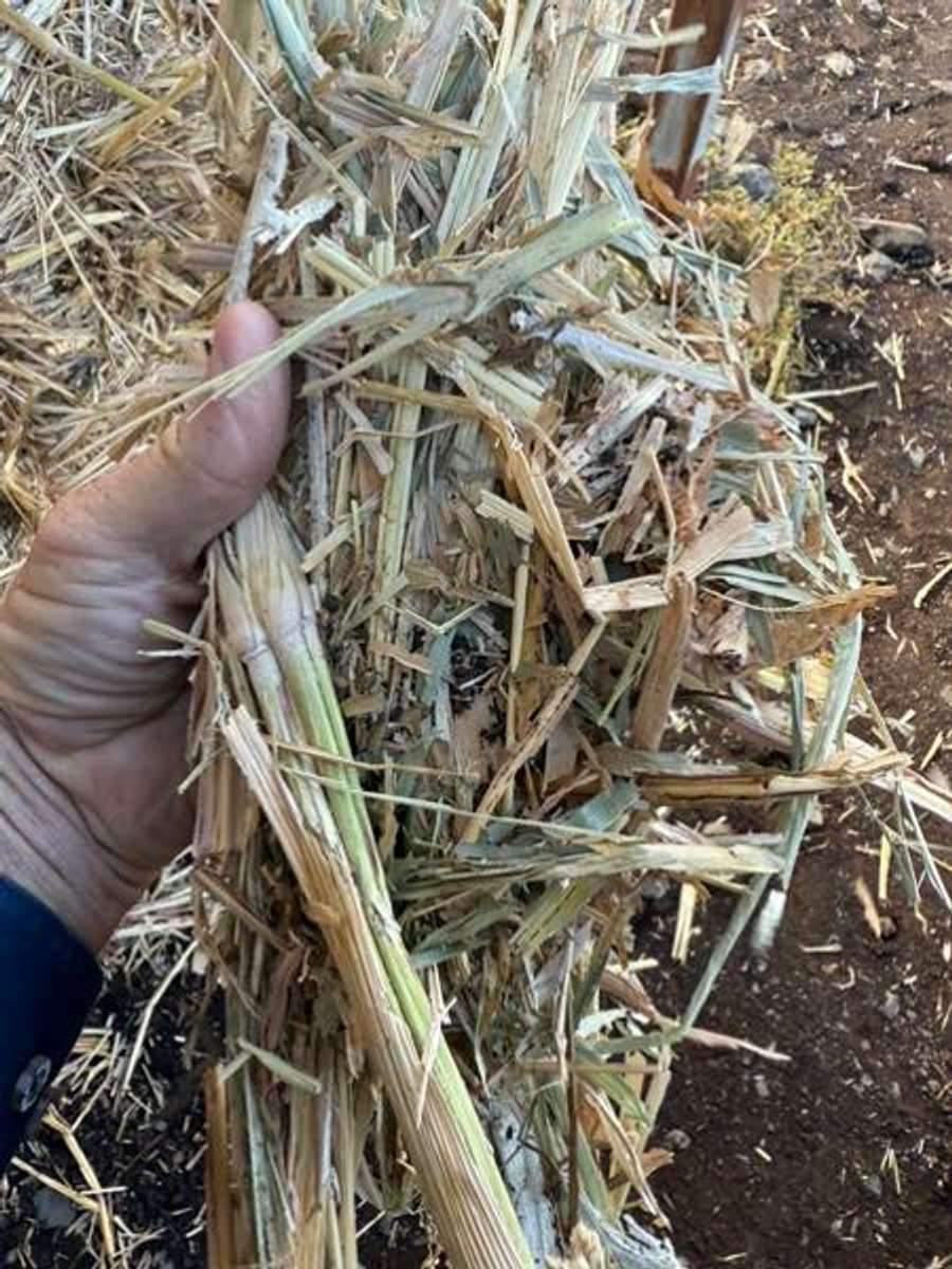 Batch 4990788000165148063 Image