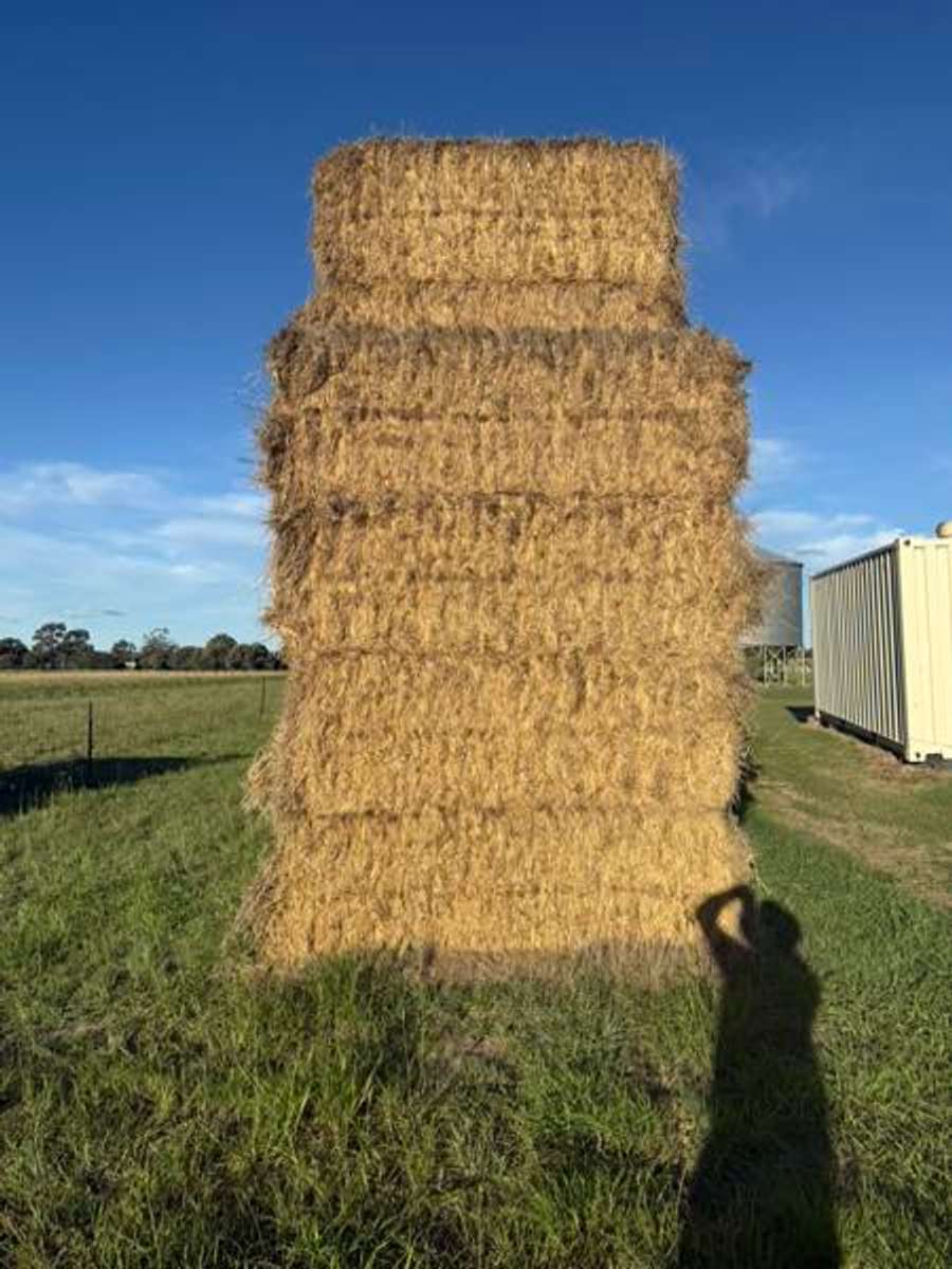 Batch 4990788000175711001 Image