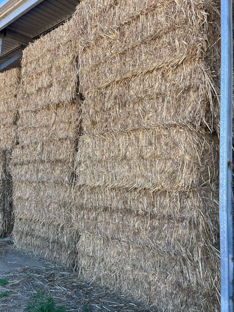 Batch 4990788000193733126 Image