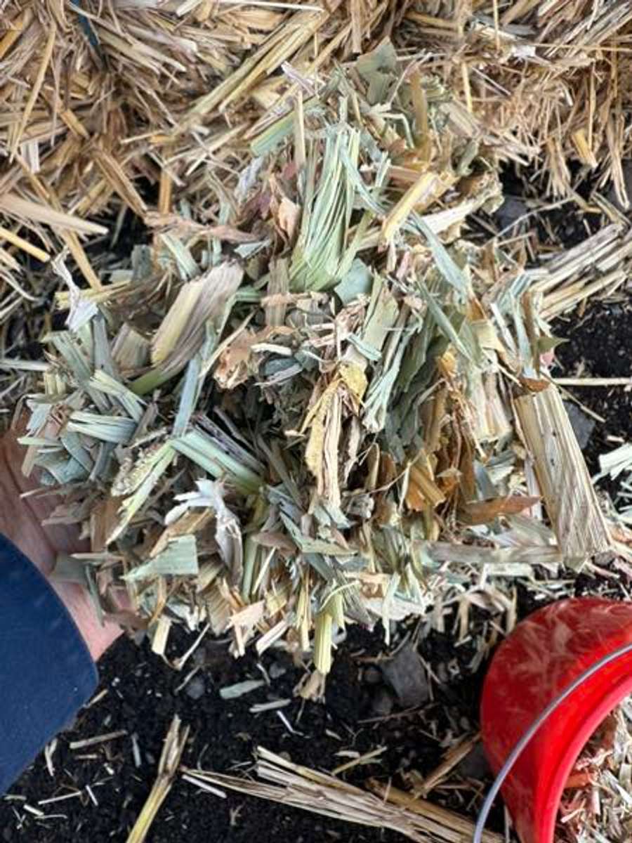 Batch 4990788000165148063 Image