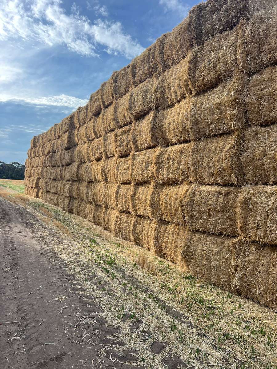 Batch 4990788000202925001 Image