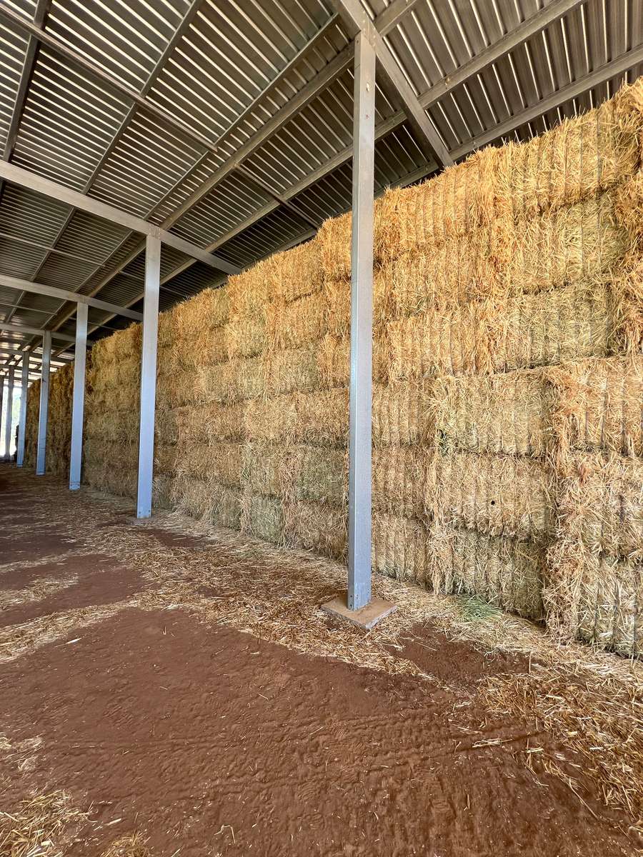 Batch 4990788000203200268 Image