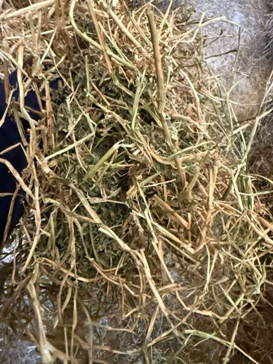 Batch 4990788000156955011 Image